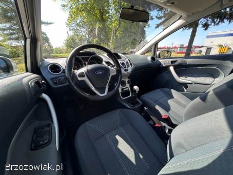 Ford Fiesta Titanium 2010