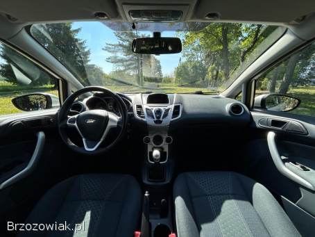 Ford Fiesta Titanium 2010