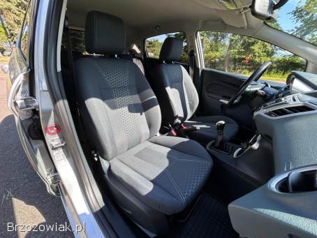 Ford Fiesta Titanium 2010