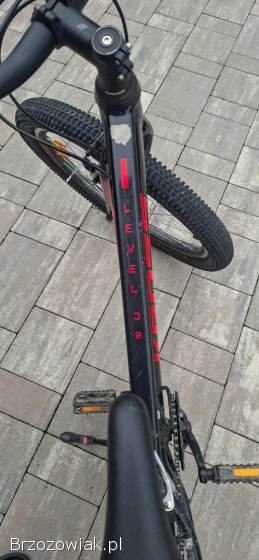 Rower kross level JR