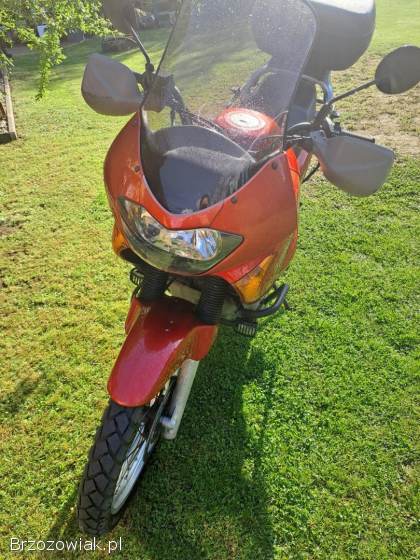 Honda Transalp Spotowa 2000