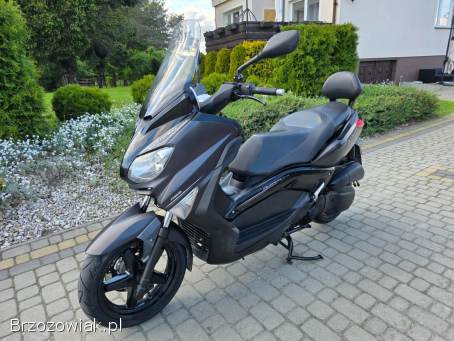 Yamaha X-Max Business Edytion 2012