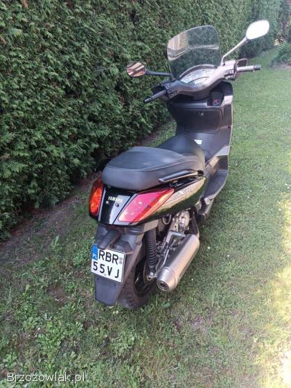 Yamaha X-Max 250cm 2009