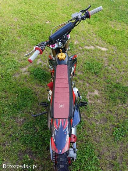 LMX  125 2021
