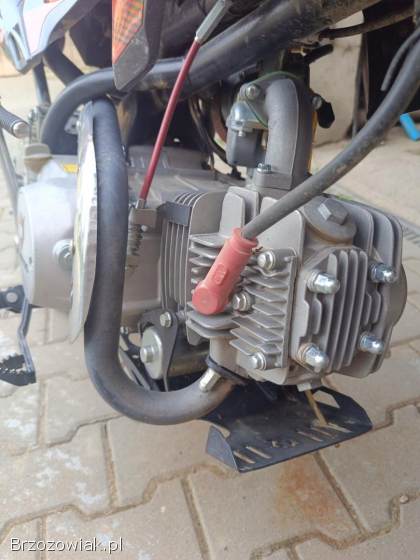 LMX  125 2021