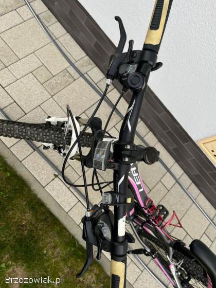 Rower Kross Lea F2 XXS