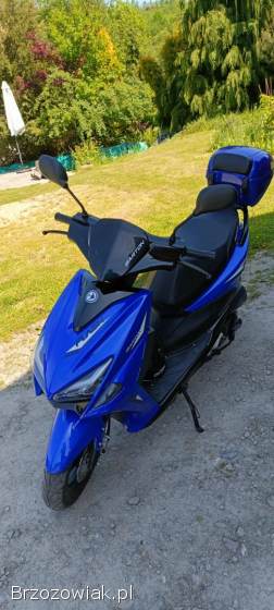 Barton Flash 50 2023