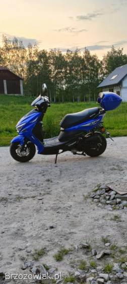 Barton Flash 50 2023