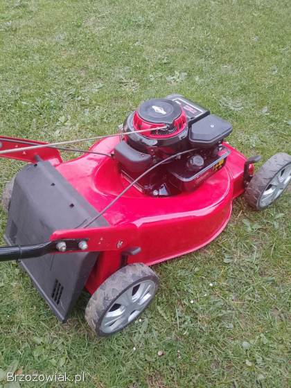 Kosiarka Briggs i Stratton