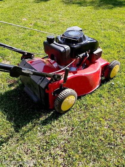 Kosiarka Briggs i Stratton