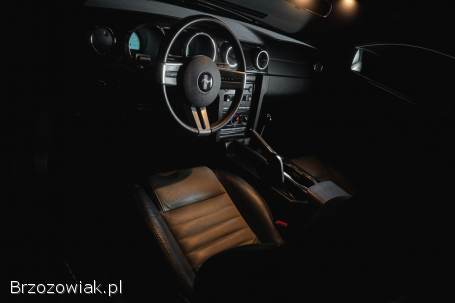 Ford Mustang S197 2008