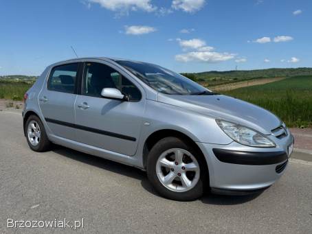 Peugeot 307 1.  4B+LPG 75km 2003