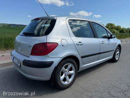 Peugeot 307 1.  4B+LPG 75km 2003