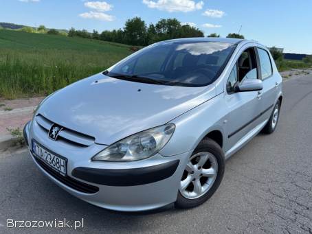 Peugeot 307 1.  4B+LPG 75km 2003