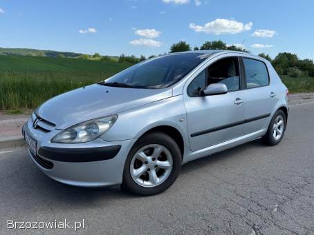 Peugeot 307 1.  4B+LPG 75km 2003