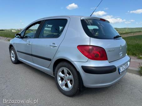 Peugeot 307 1.  4B+LPG 75km 2003