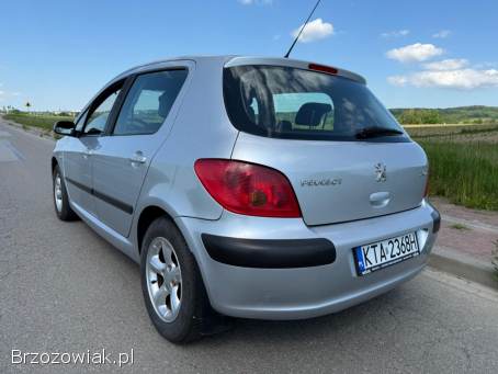 Peugeot 307 1.  4B+LPG 75km 2003