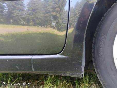 Fiat Punto Evo Stigno  2013