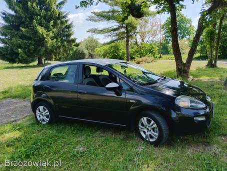 Fiat Punto Evo Stigno  2013