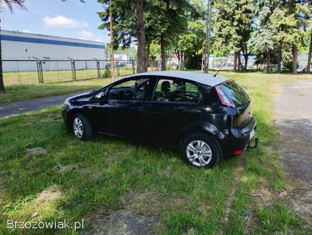 Fiat Punto Evo Stigno  2013