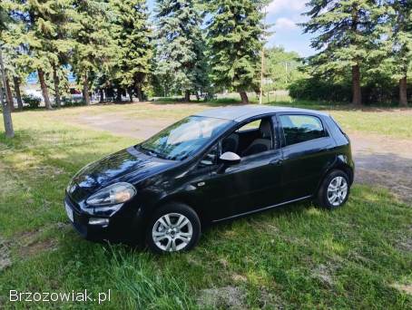 Fiat Punto Evo Stigno  2013