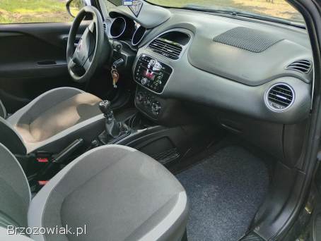Fiat Punto Evo Stigno  2013
