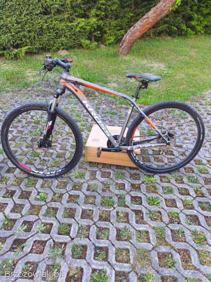 Rower Kross