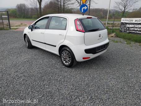 Fiat Punto Evo Punto Evo 1.  4 2011