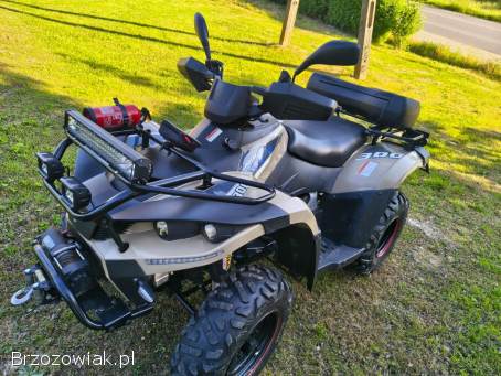 Linhai300 4x4