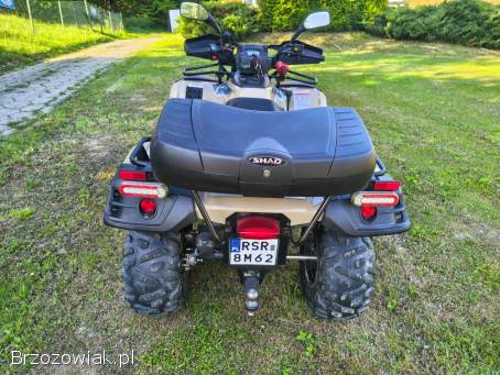 Linhai300 4x4