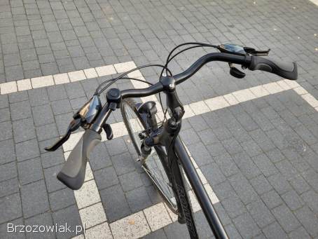 Rower Romet Wagant