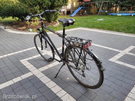 Rower Romet Wagant