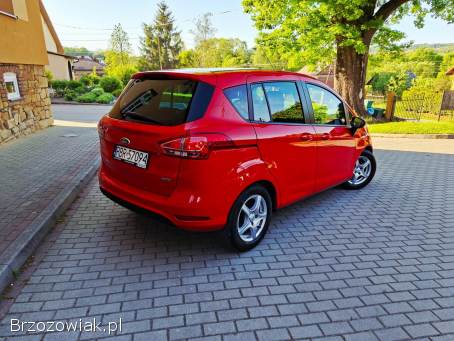 Ford B-MAX 2013