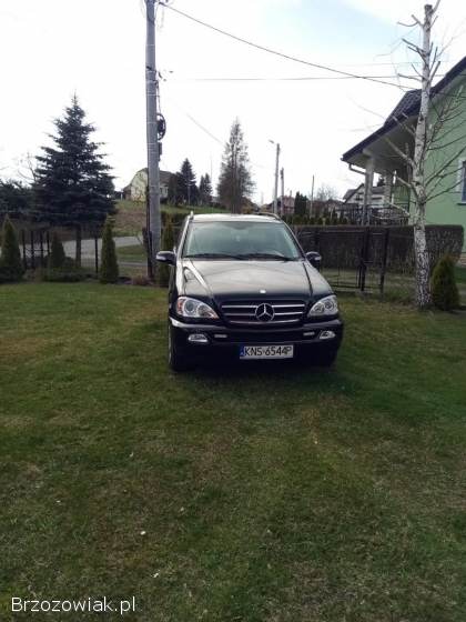 Mercedes-Benz ML W163 2004