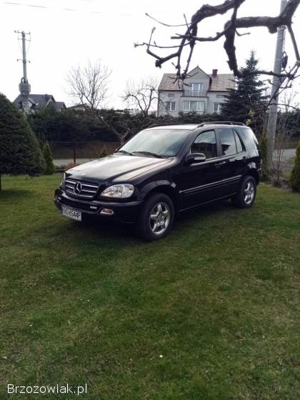 Mercedes-Benz ML W163 2004