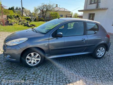 Peugeot 206 plus 2010