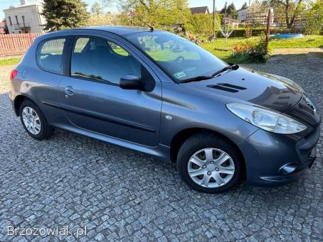 Peugeot 206 plus 2010