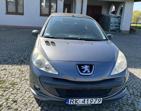 Peugeot 206 plus 2010