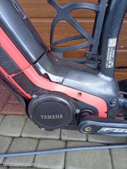 Rower elektryczny Giant