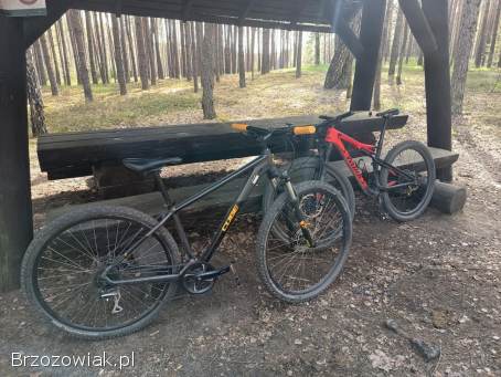 CUBE AIM RACE 29 cali (M/17 )