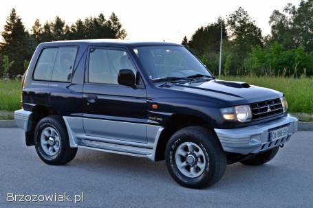 Mitsubishi Pajero 2004