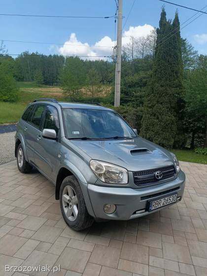 Toyota RAV4 2004