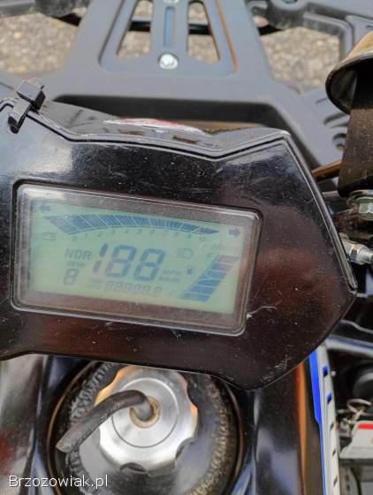 Quad 150