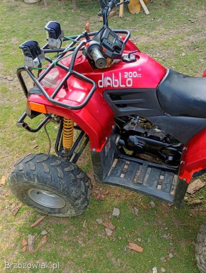 Quad 200