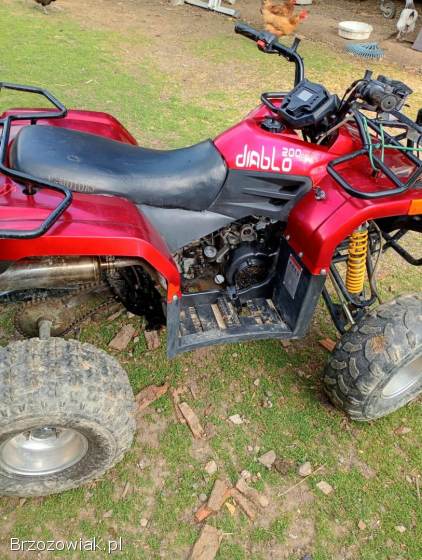Quad 200