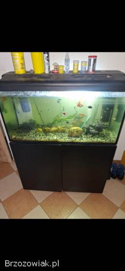 Akwarium 220L