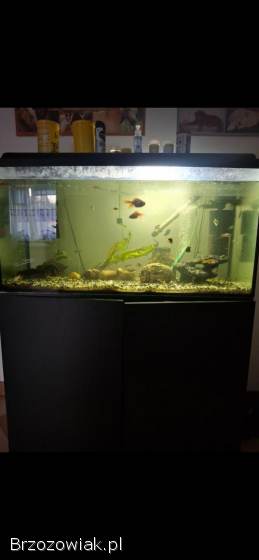 Akwarium 220L