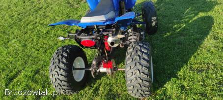 Quad Bashan 200