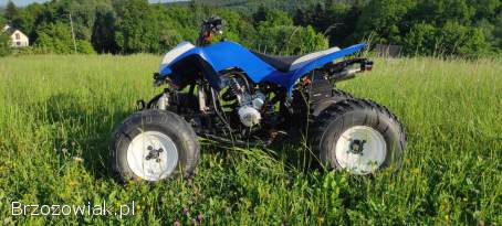 Quad Bashan 200