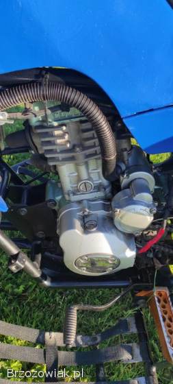 Quad Bashan 200
